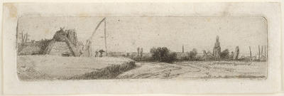 Cornfields