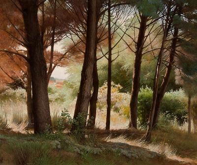 Study of Pines