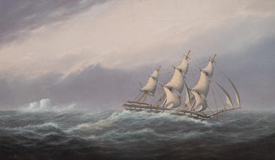Ship "True Briton" Off Cape Horn Passing Ice