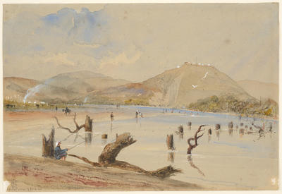 On the Waitotara River