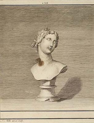 Busts