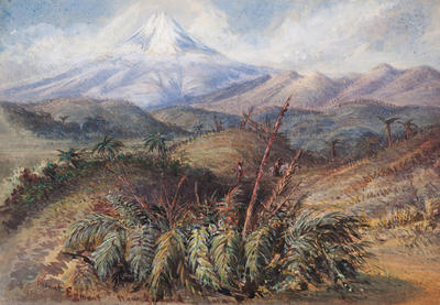 Mount Egmont, north of Waitara