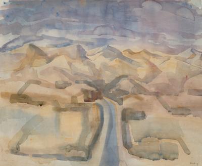Canterbury Landscape