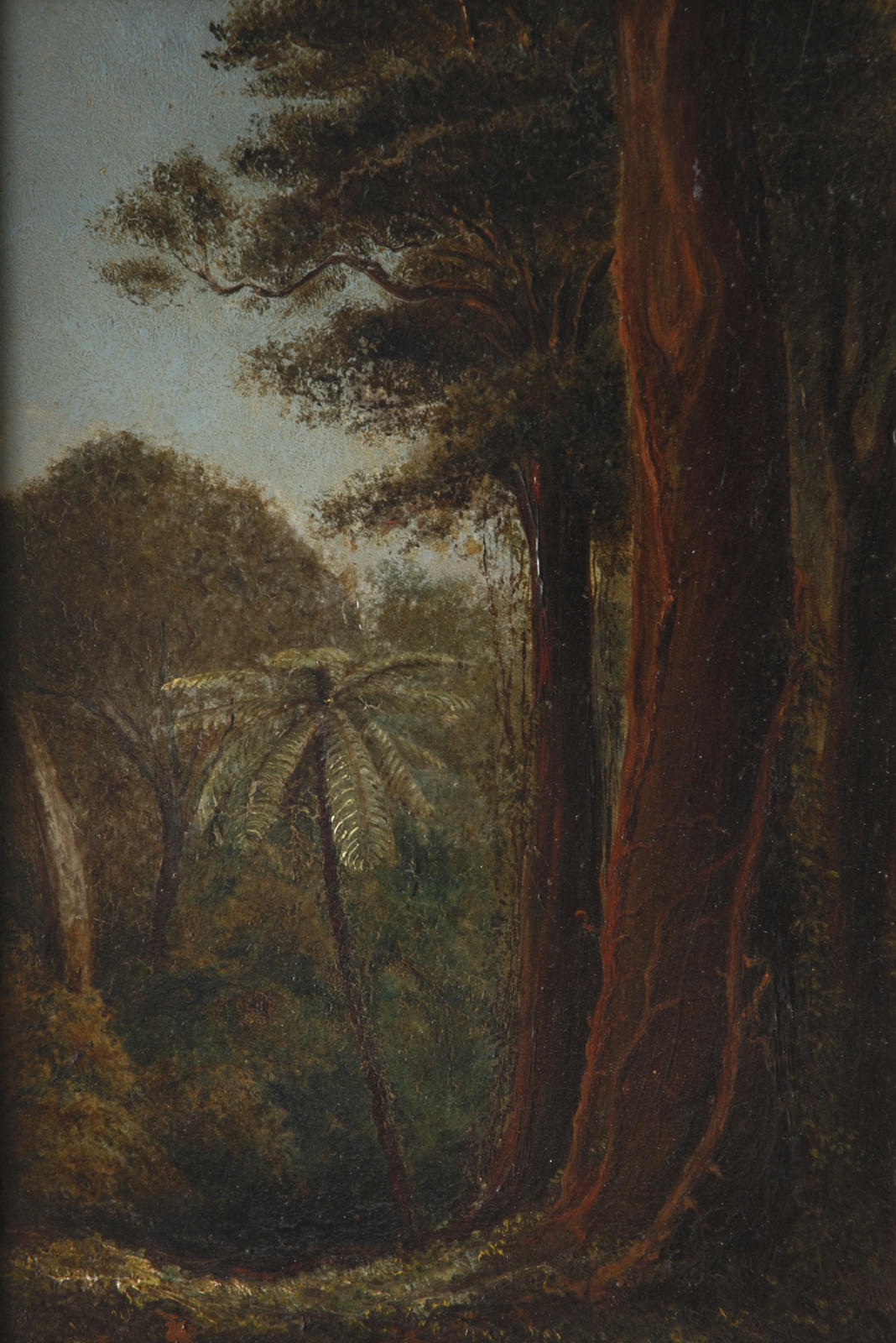 New Zealand Landscape