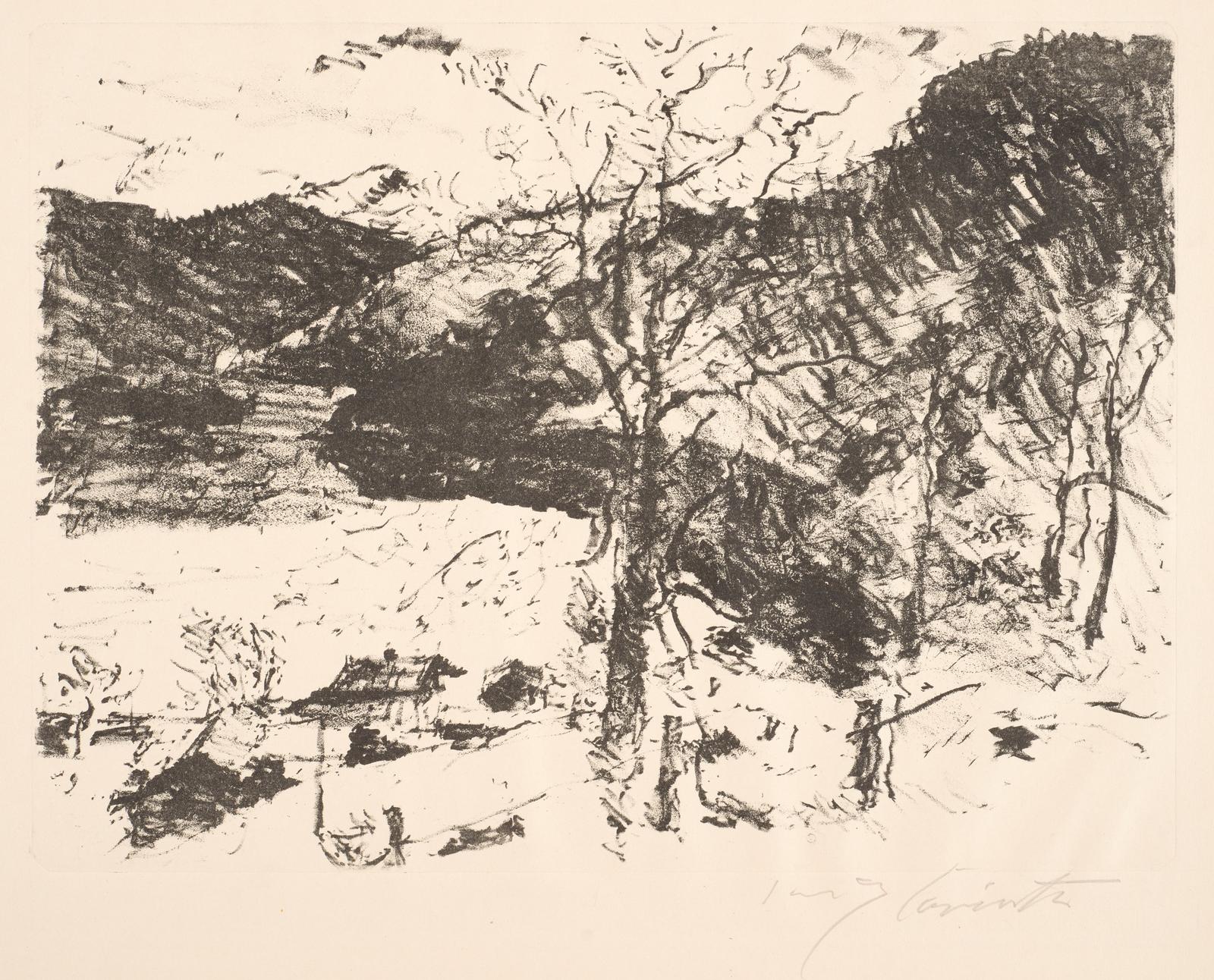Berg-See (Mountain Lake)