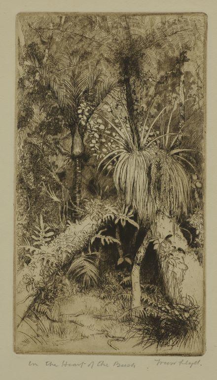 In the Heart of the Bush