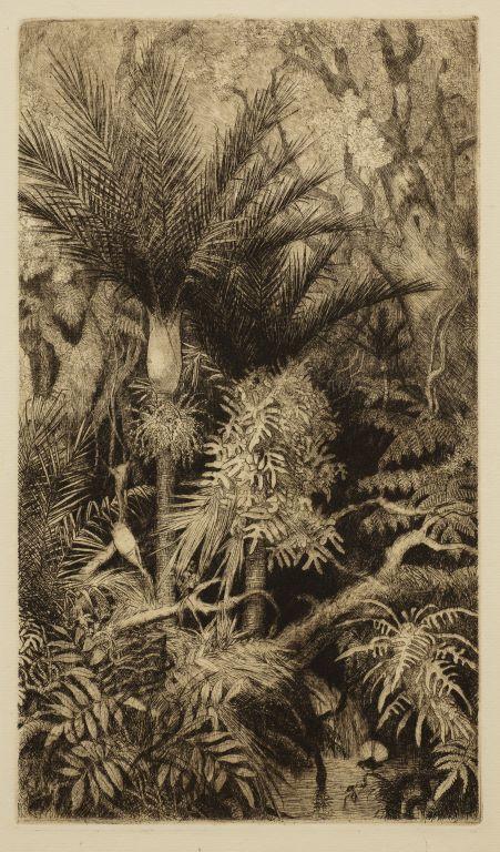 In the Silent Bush Nikau Palms