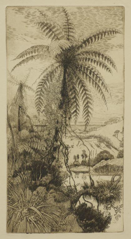 Tree Fern on a Bank