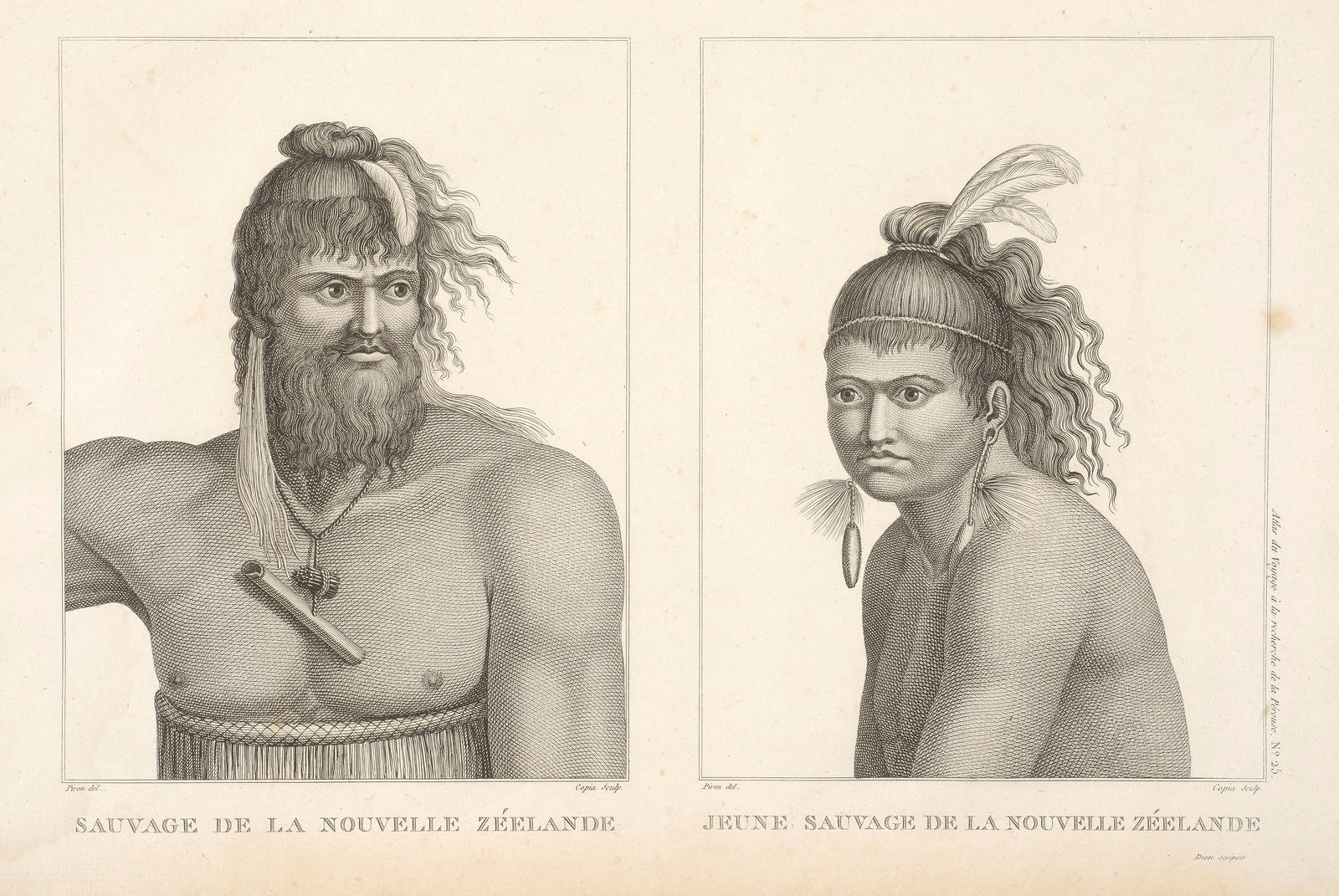 Sauvage de la Nouvelle Zeelande Jeune sauvage de la Nouvelle Zeelande