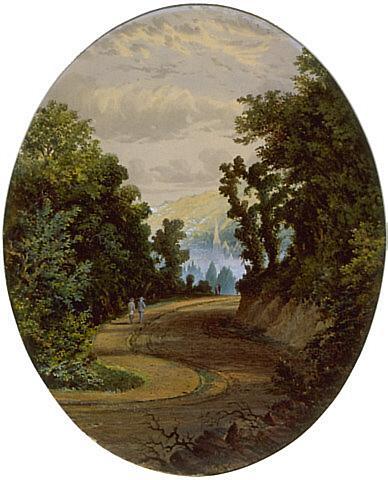 Dunedin: From the Road to the Northern Cemetery