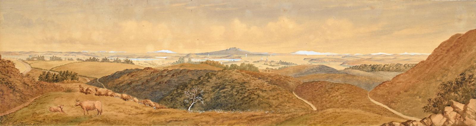 Auckland from Mt Eden