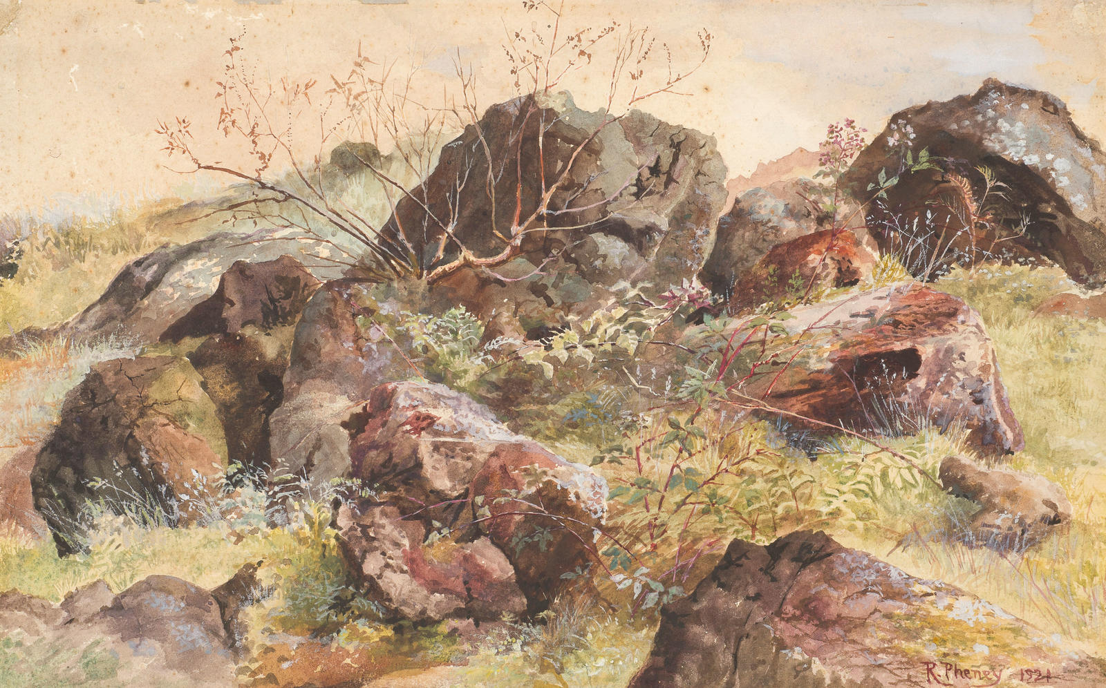 Rock Study