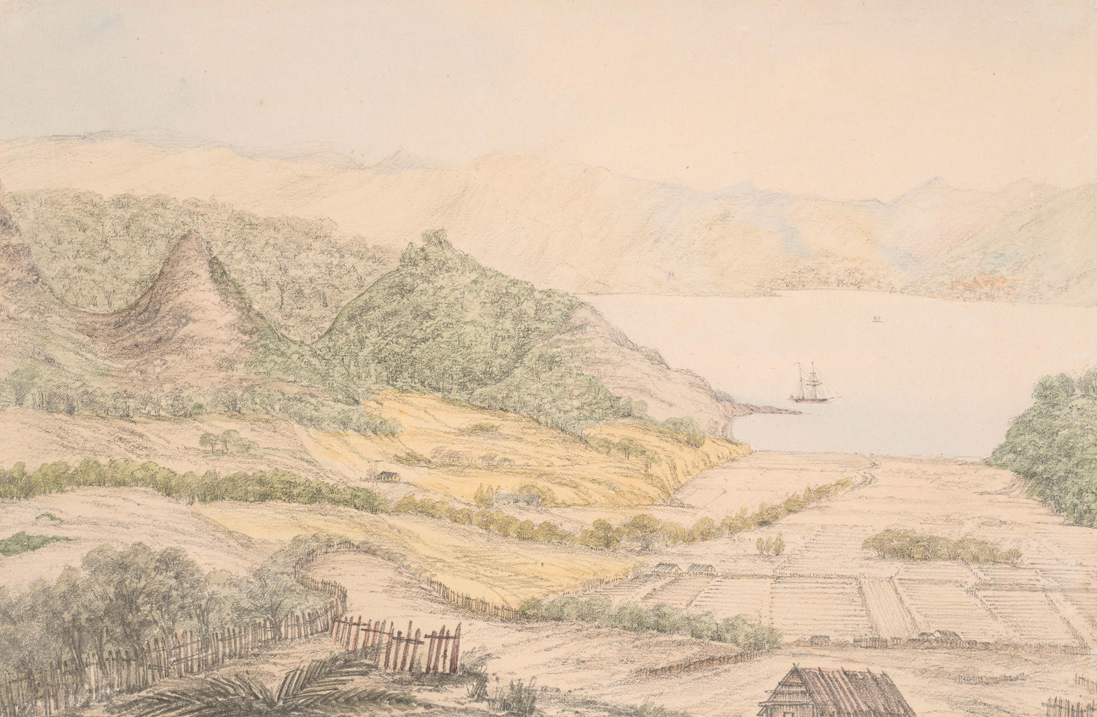 Pakenae Valley, Hokianga River