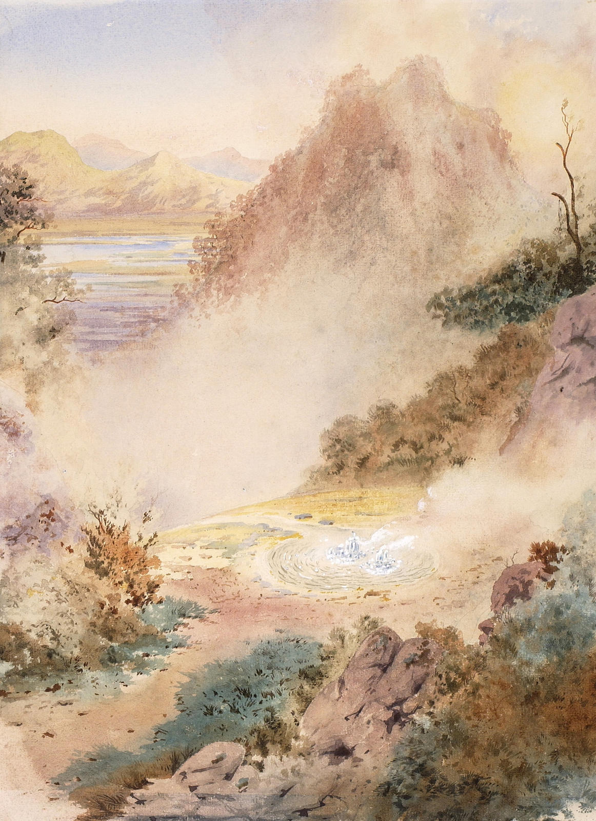 Okiwi Geyser, Rotomahana