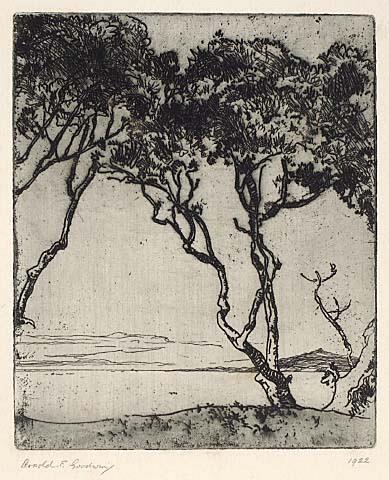 Pohutukawas, Castor Oil Bay