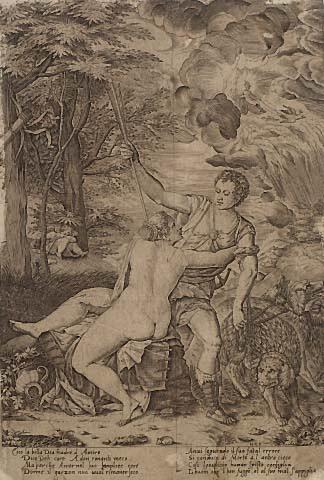 Venus and Adonis