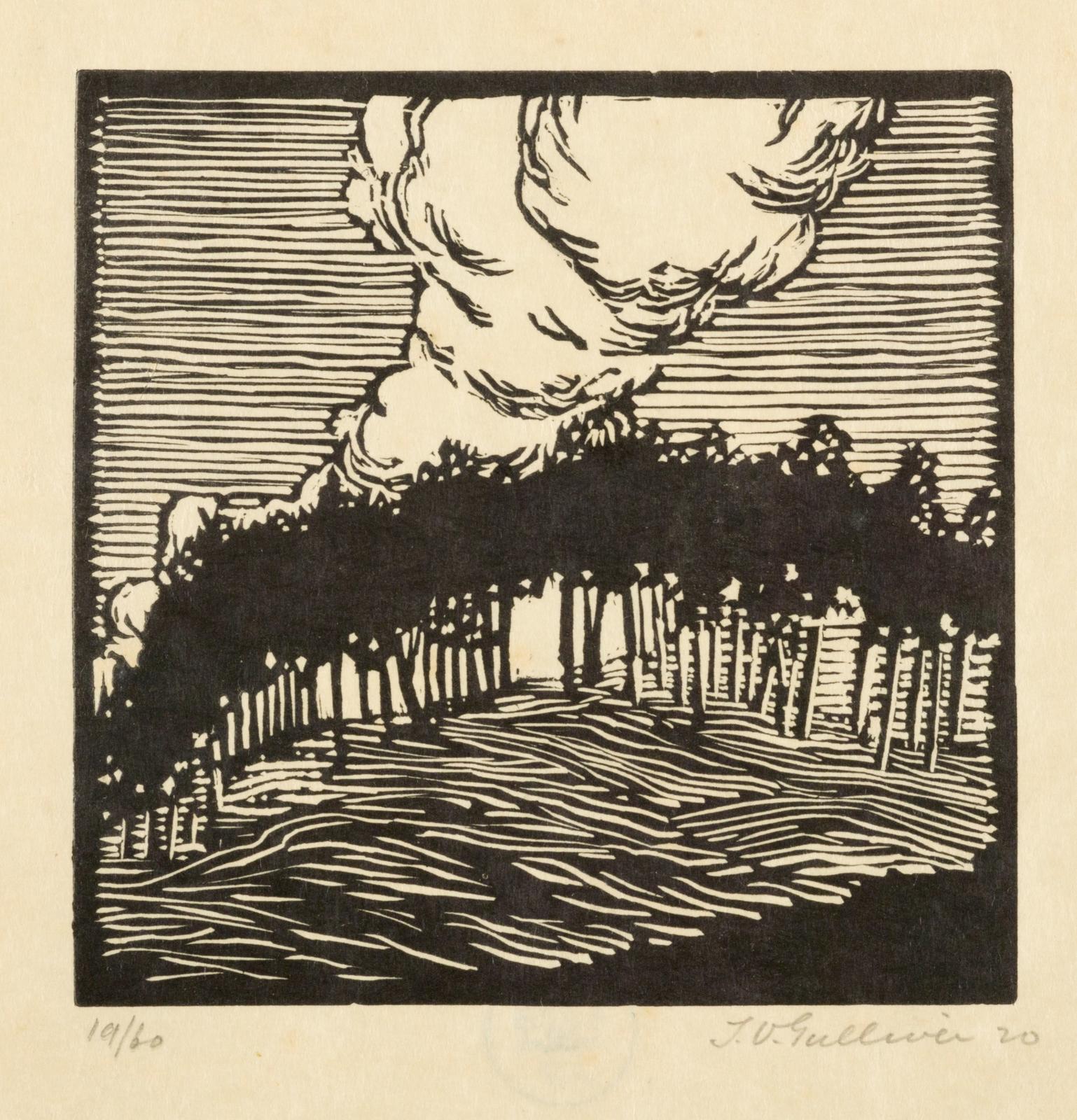Mountain trees