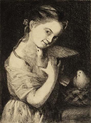 The Doves