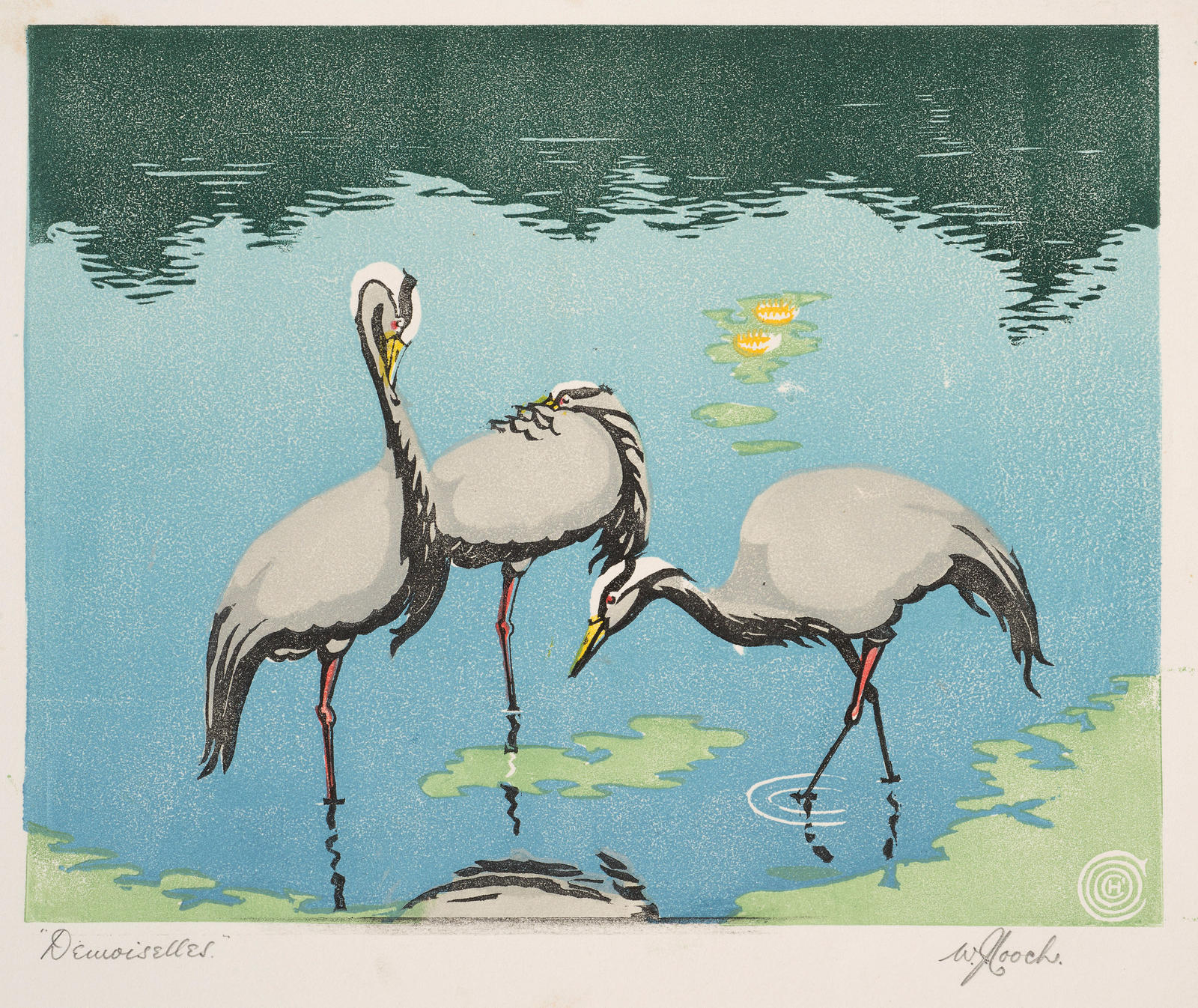 Demoiselles