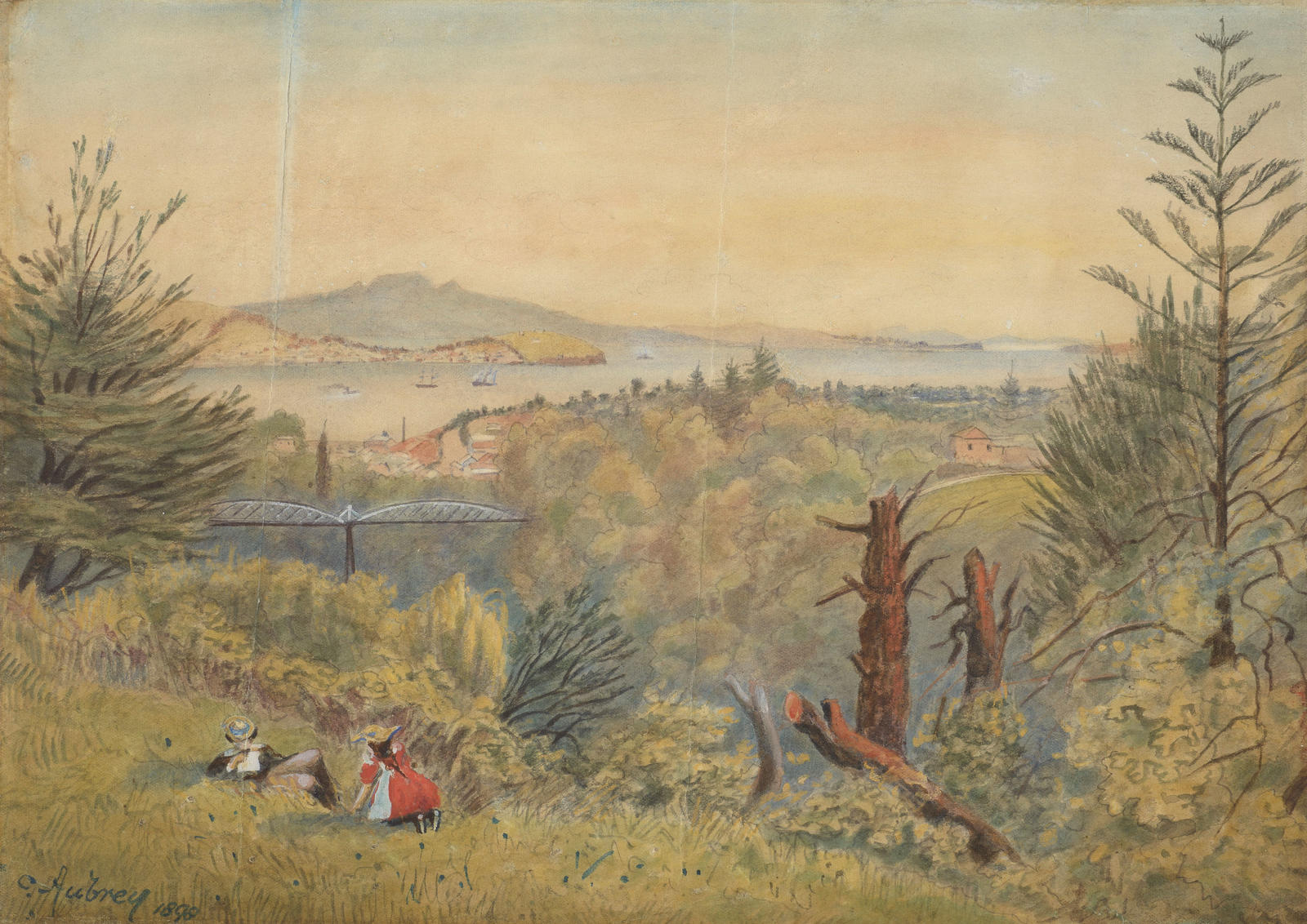 Grafton Gully