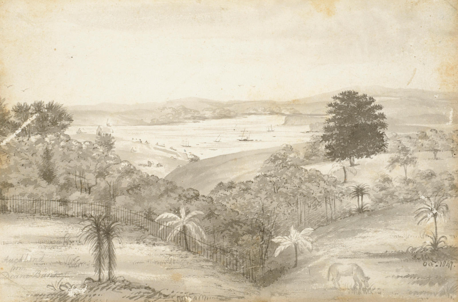 Auckland From Deane Bank