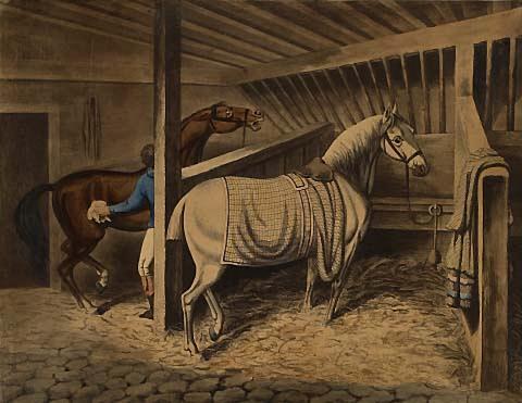 Horses in the stable