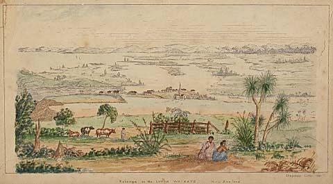Kohanga on the lower Waikato