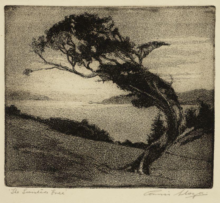 The Twisted tree