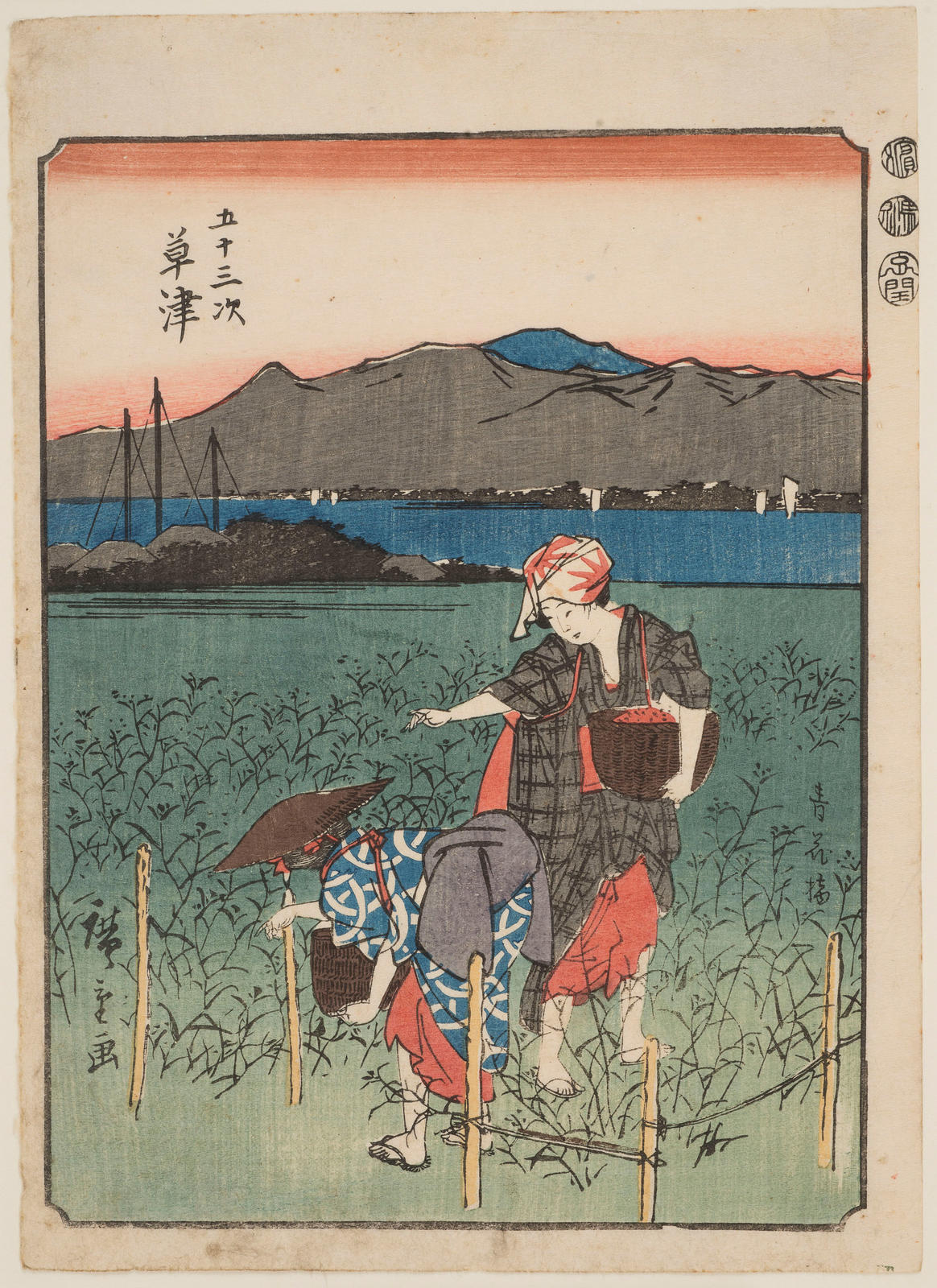 Two women picking tea