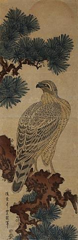 Falcon on a Pine Branch, Rising Sun Above