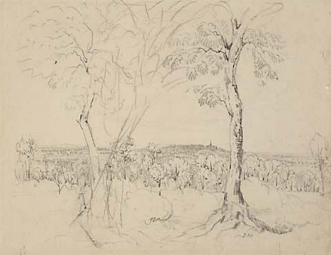 Landscape - wooded slopes with distant view of a spire seen through a group of trees