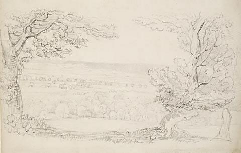 Landscape seen through trees
