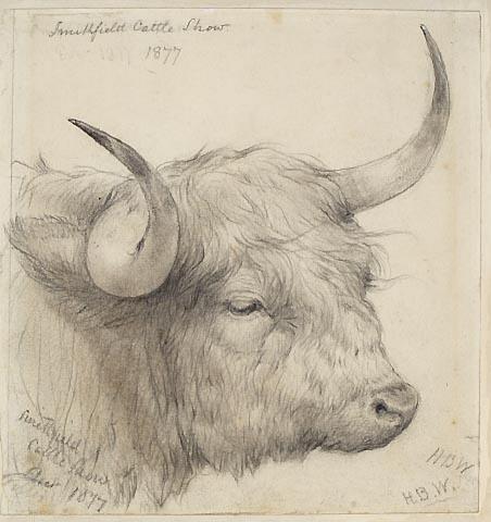 Bull's Head