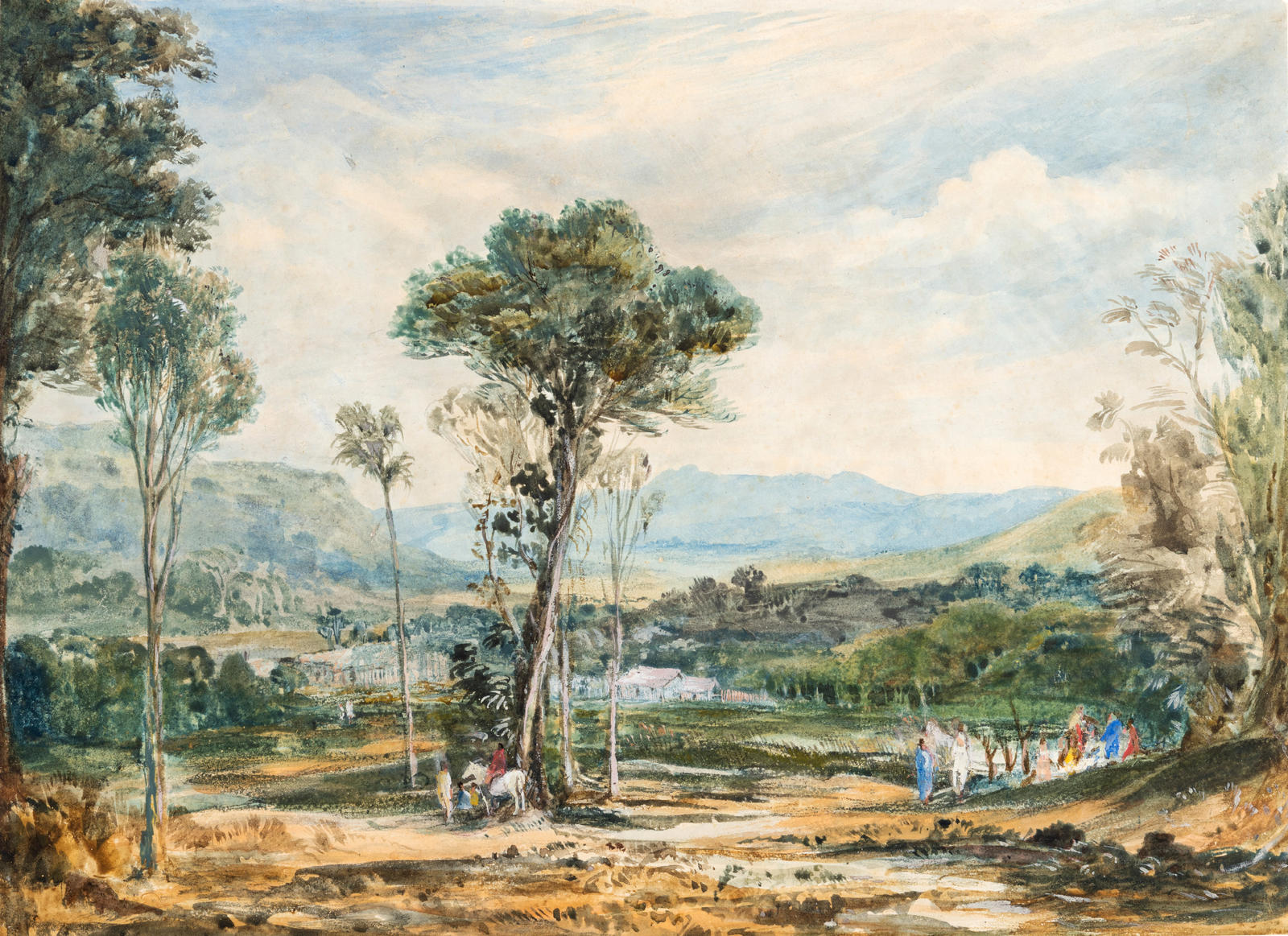 A New Zealand Landscape