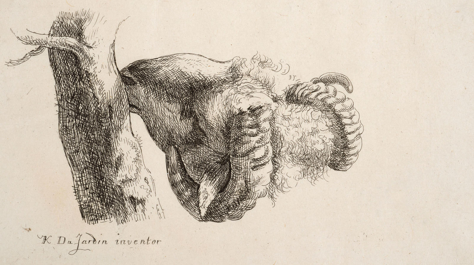 Head of a Sheep and Trunk of Tree
