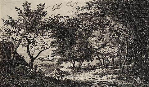 Landscape : Cottage and Country Lane