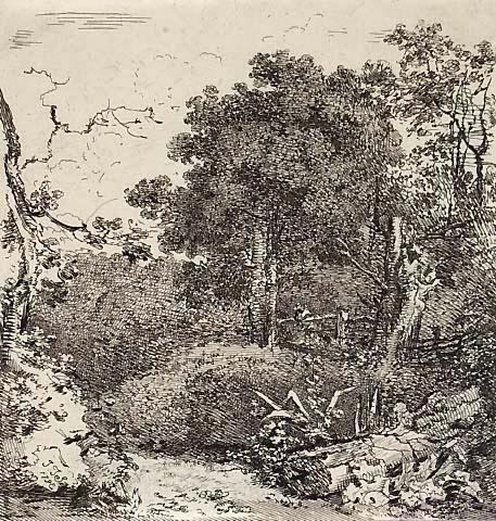 Landscape : Country Lane