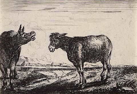 Asses