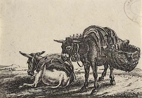 Laden Asses