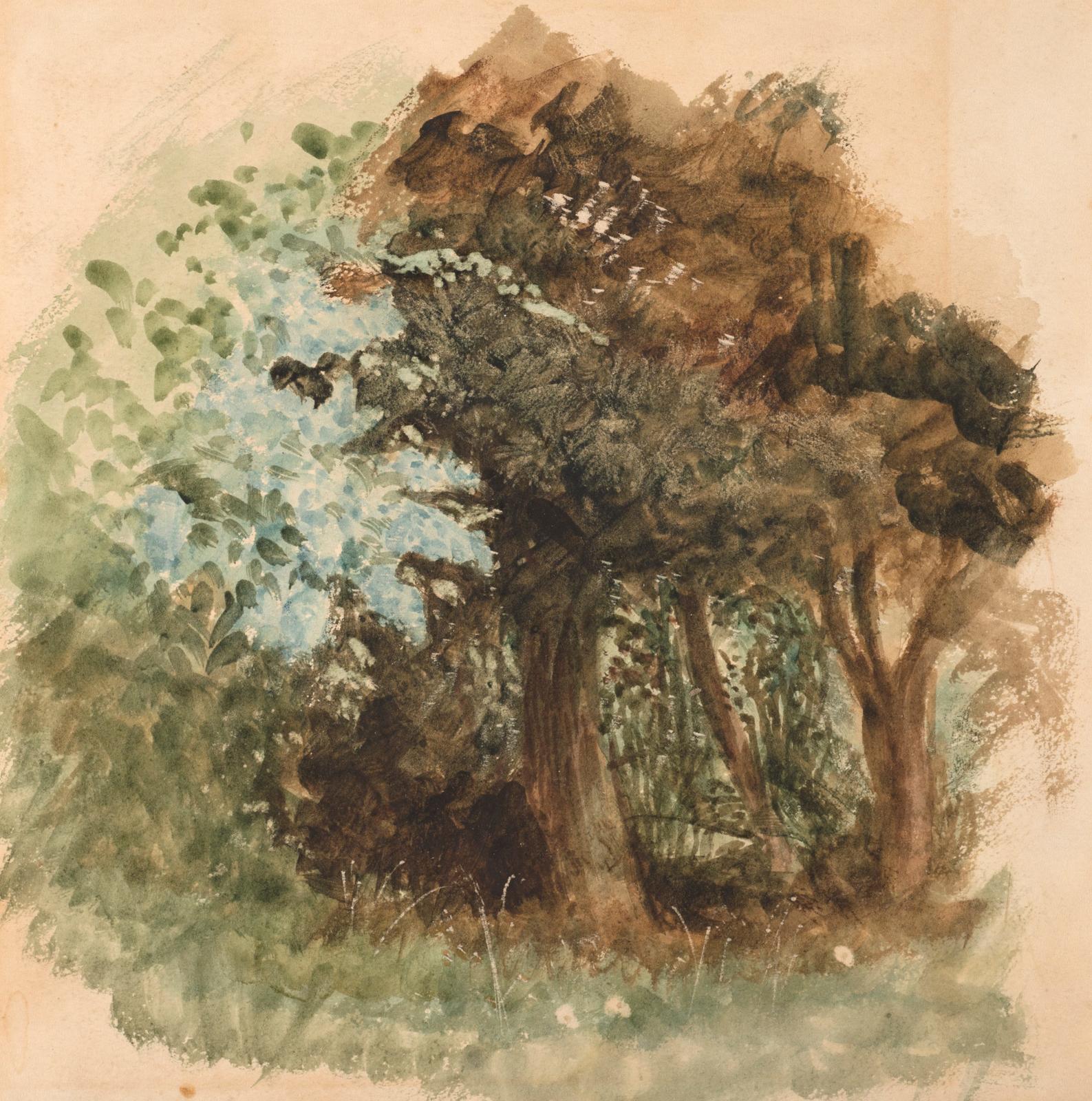 Study of Trees