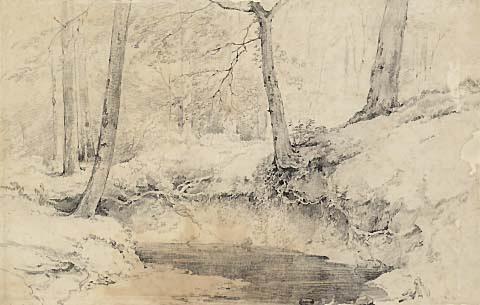 Landscape: a pool amongst trees
