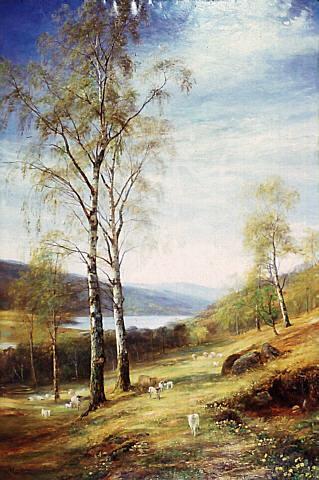 Silver birches