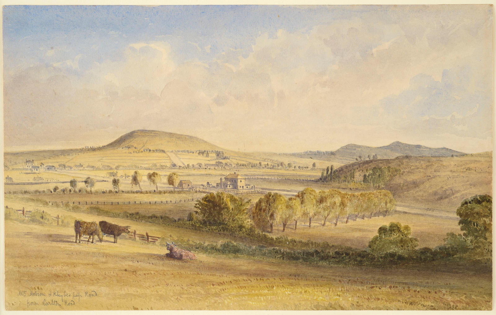 Mt Hobson and Khyber Pass from Carlton Gore Road