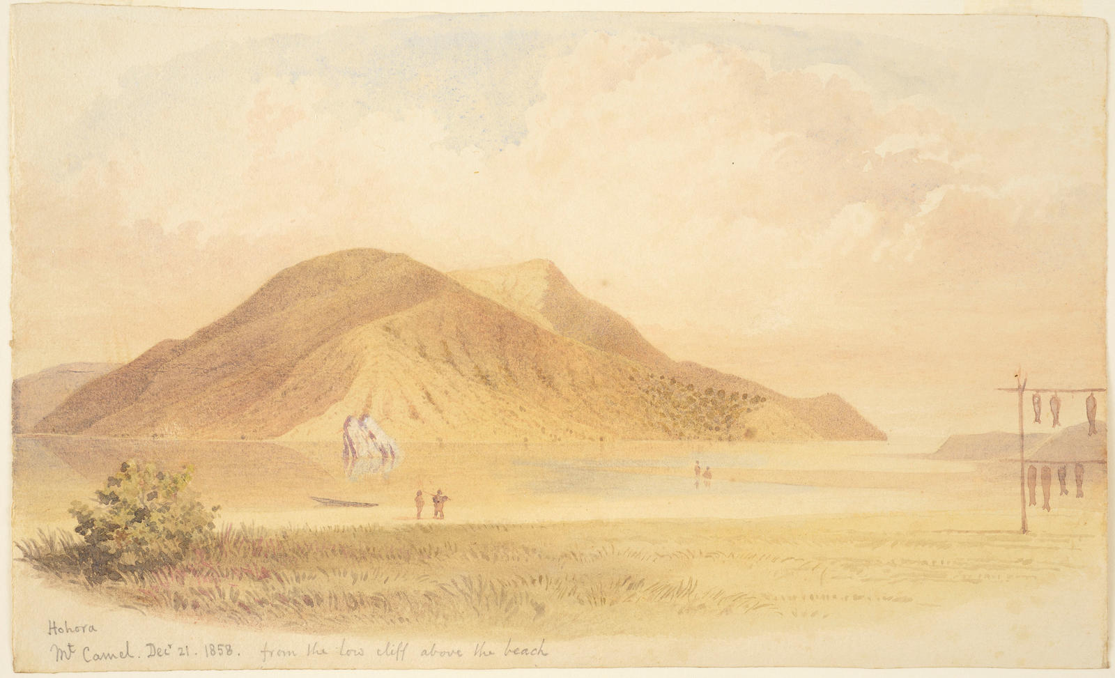 Houhora, Mt Camel