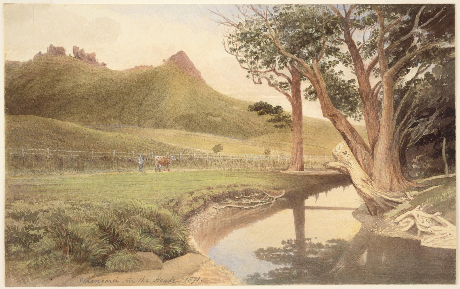 Whangarei, Near The Heads