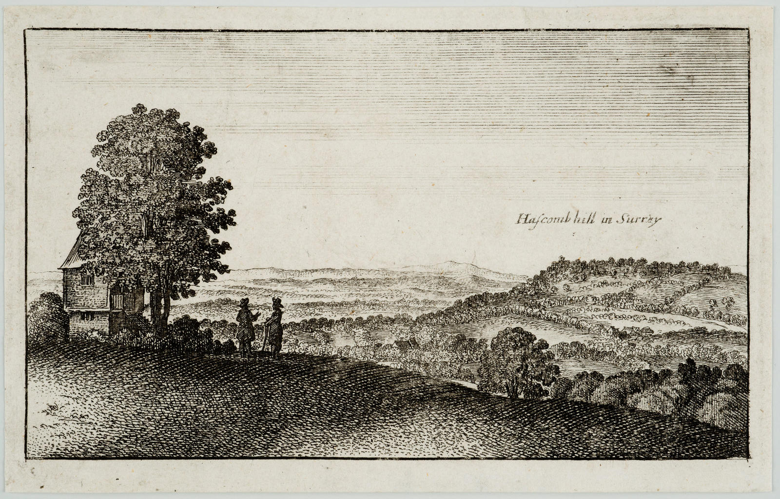 Hascomb Hill