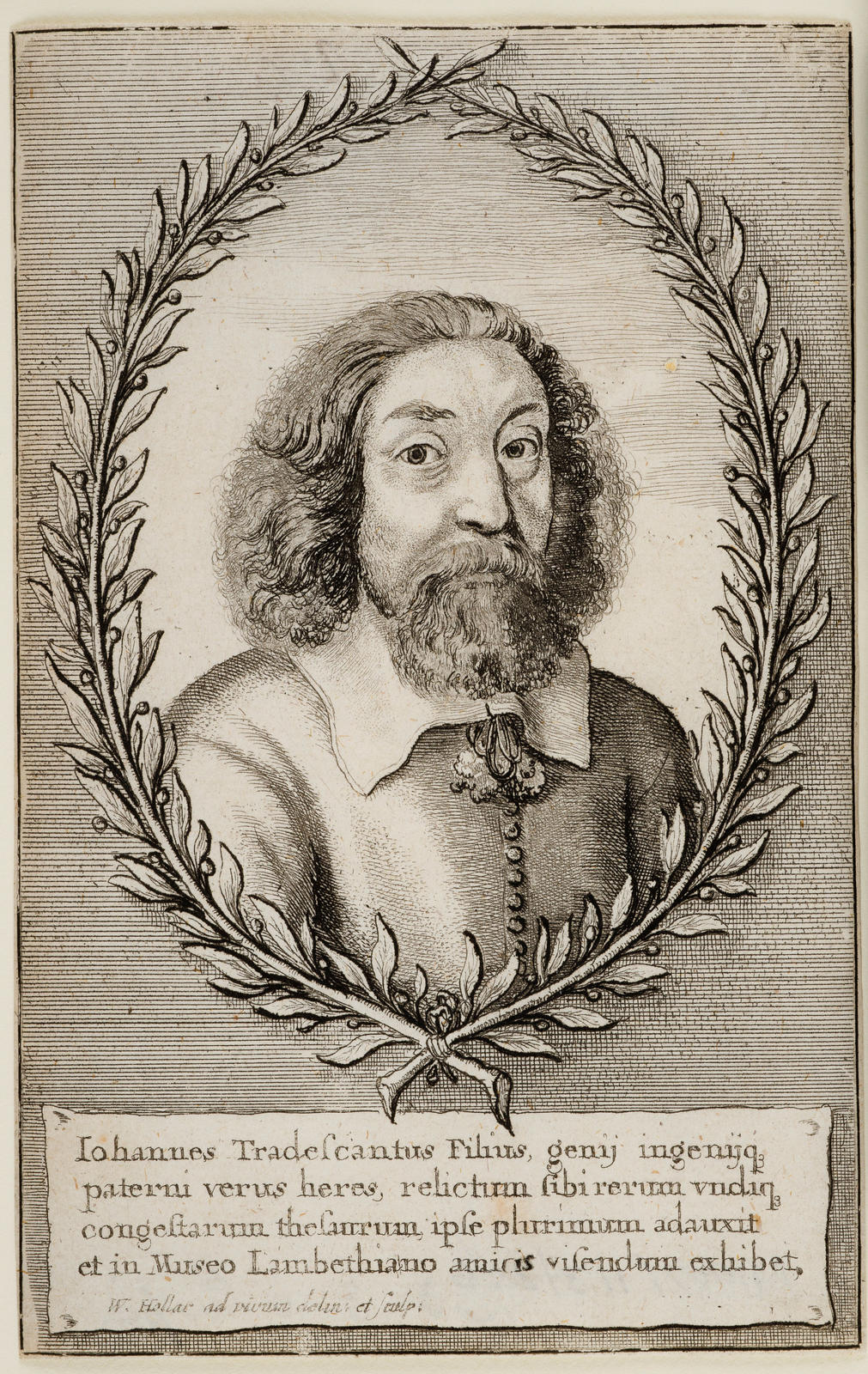 John Tradescant the Younger