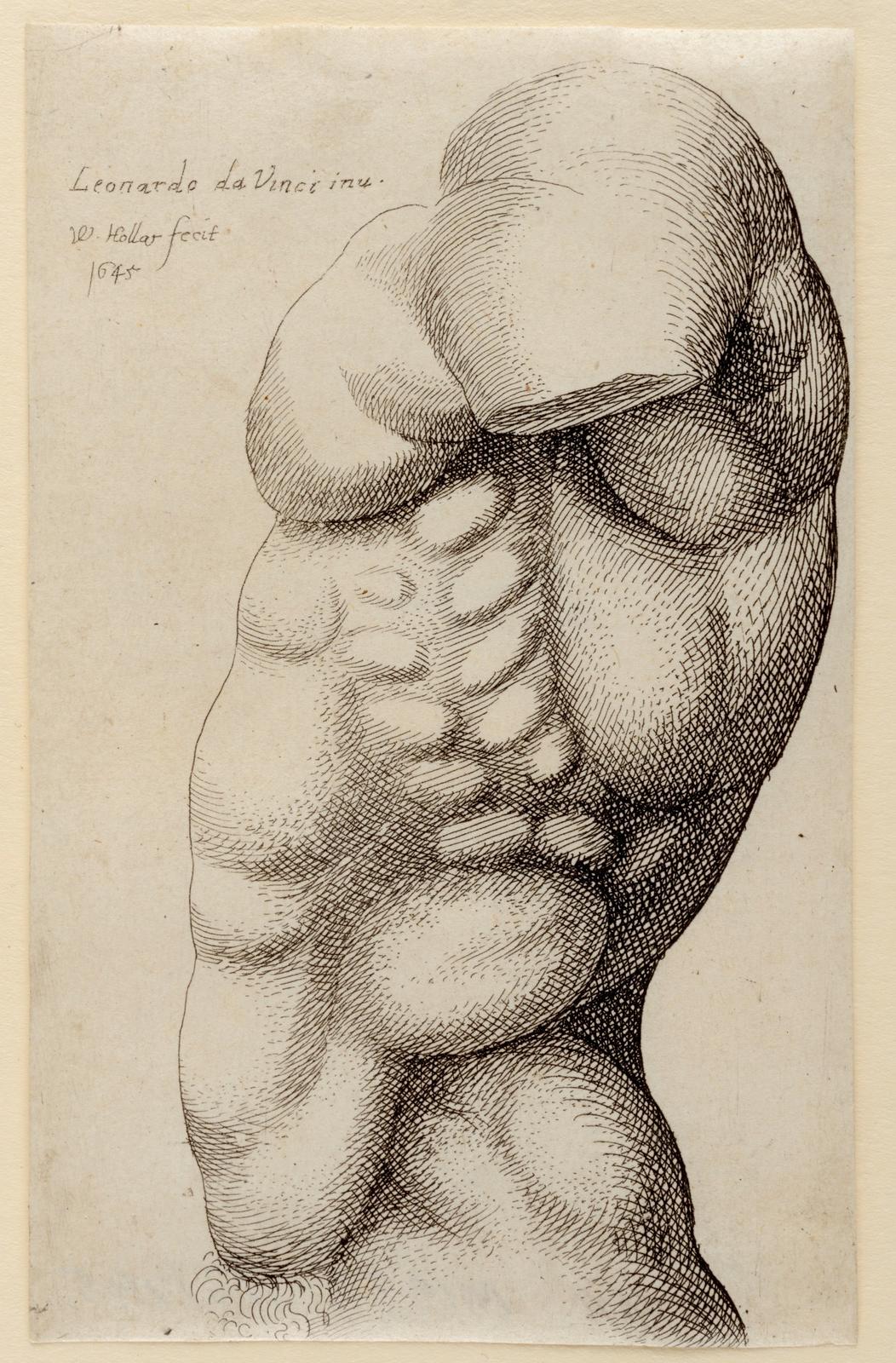 Anatomy