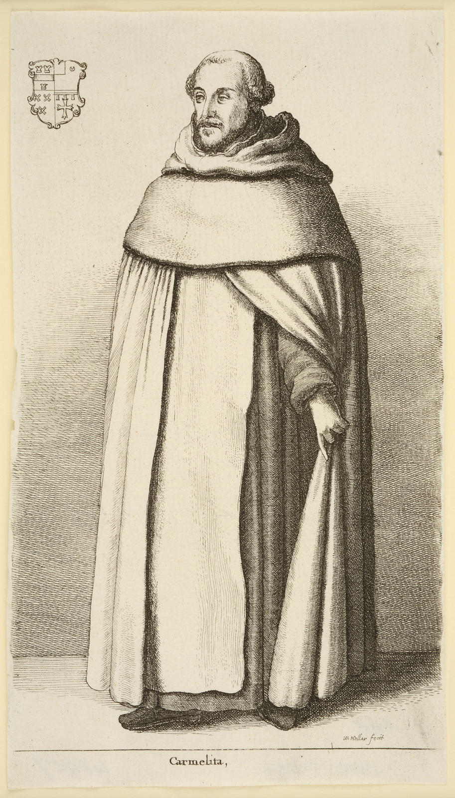 Carmelita