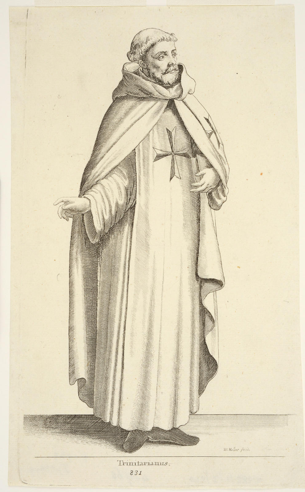 Trinitarianus
